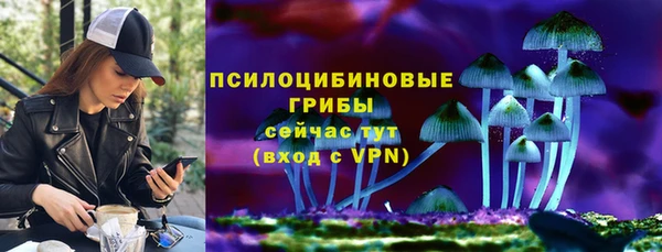 прущие крисы Белокуриха