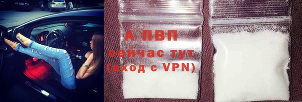 прущие крисы Белокуриха