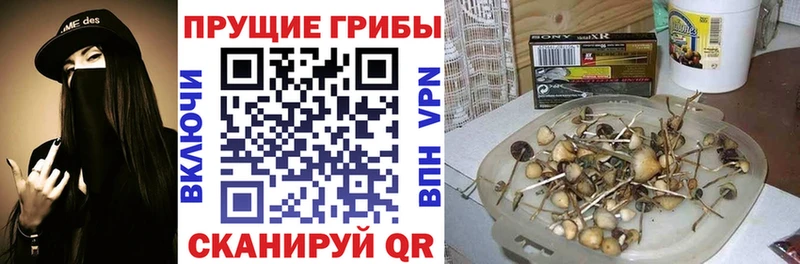 Галлюциногенные грибы прущие грибы  Маркс 