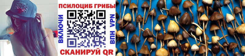Псилоцибиновые грибы Psilocybine cubensis Маркс
